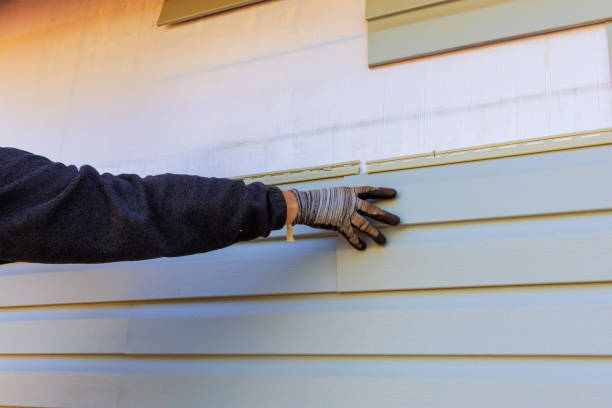 Professional Siding Installation & Repair in Missouri City, TX